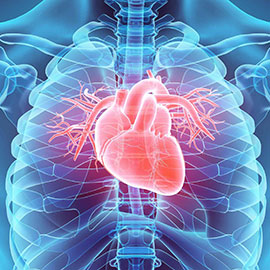 A New Hope for Heart Valve Patients: event image