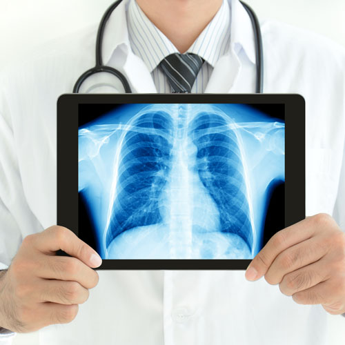 lungs