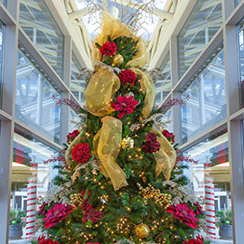 Wings of Healing Tree