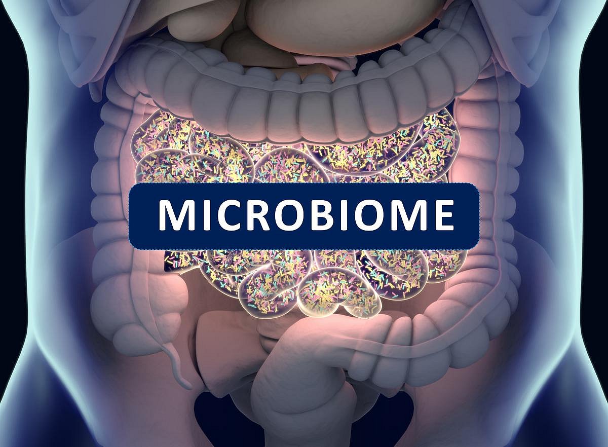The Hype and Limits of At-Home Gut Microbiome Tests | Powers Health