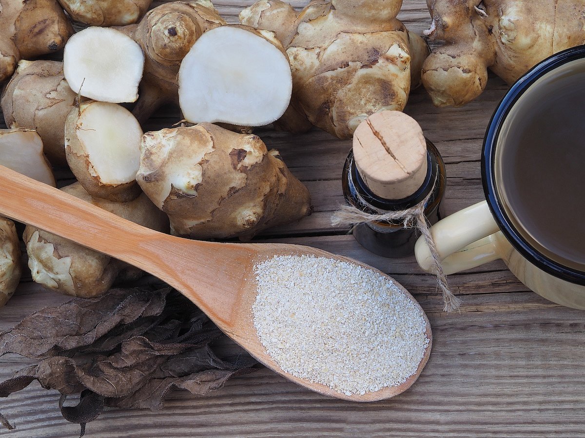 chicory root glp 1 Prebiotic Eases Arthritis Pain Trial Finds